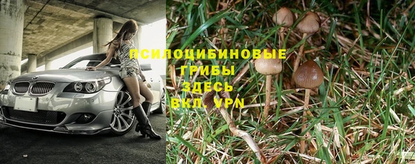 шишки Вязники