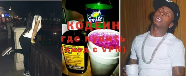 гидра Вязьма