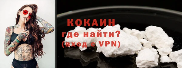 шишки Вязники