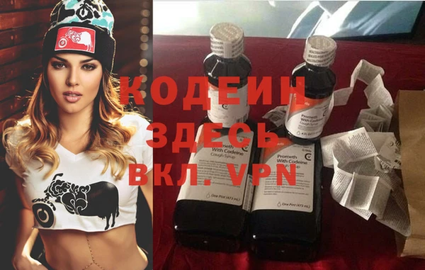 гидра Вязьма
