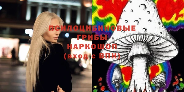 гидра Вязьма