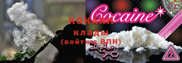 ПСИЛОЦИБИНОВЫЕ ГРИБЫ Горнозаводск