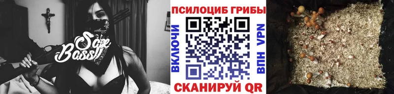 Псилоцибиновые грибы мицелий  наркошоп  Знаменск 